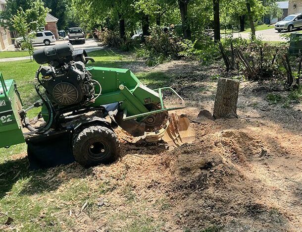 Stump Grinding Services 1 | Fowler's Tree and Fence