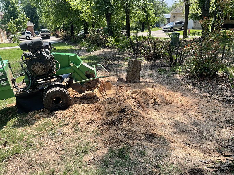 Stump Grinding Services 1 | Fowler's Tree and Fence